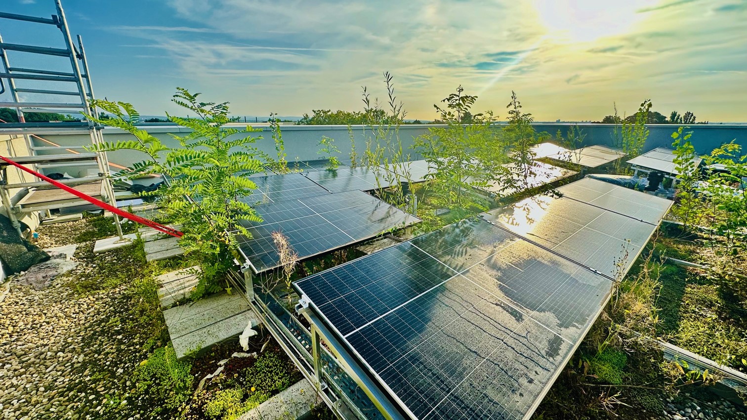 Flachdach mit Photovoltaikanlage und extensiver Begrünung – Dachdecker FuB Wiesbaden