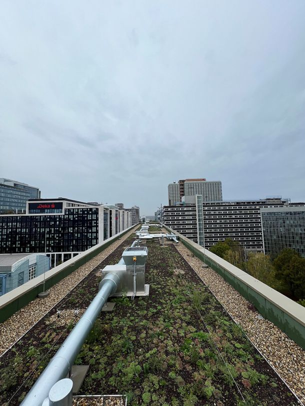 Extensive Dachbegrünung auf einem modernen Gewerbegebäude mit technischer Dachinstallation im Frankfurter Stadtgebiet